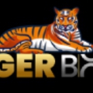 TigerBook